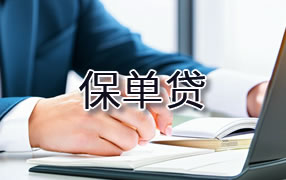 阜阳保单贷