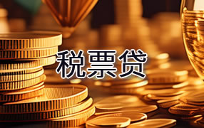 阜阳税票贷